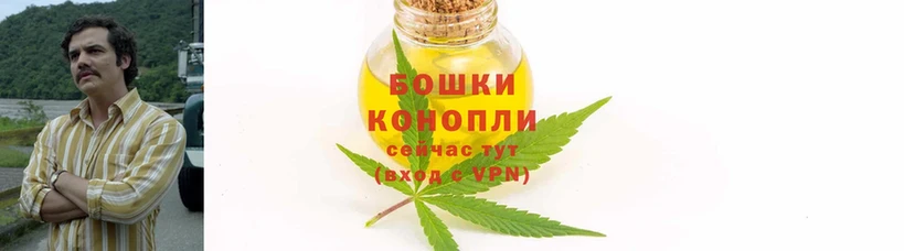 где купить наркоту  Саранск  Бошки марихуана THC 21% 